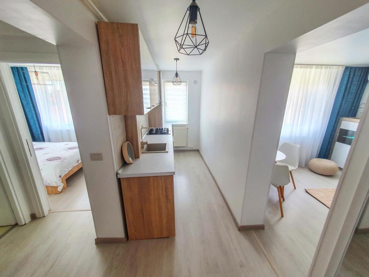 Apartament Delora View Bumbesti-Jiu Kültér fotó